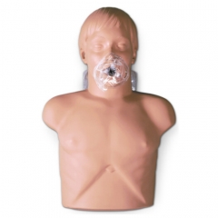 Torso Sani Maniquí, Tamaño Real Para Rcp, Excelente Realismo