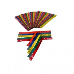 Cinturones De Fijacion Universal Spinal