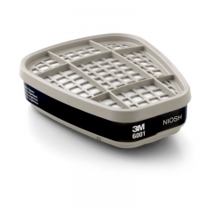 3M Filtro 6001