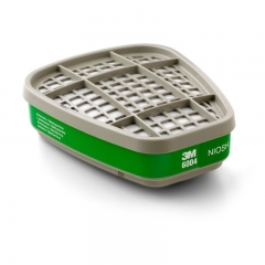 3M Filtro 6004